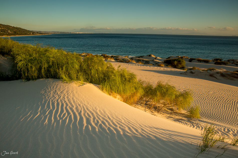 Sanddünen mit Strandhafer bei Tarifa, Andalusien, goldene Stunde, Spanien – Jan Geerk Fotograf Basel