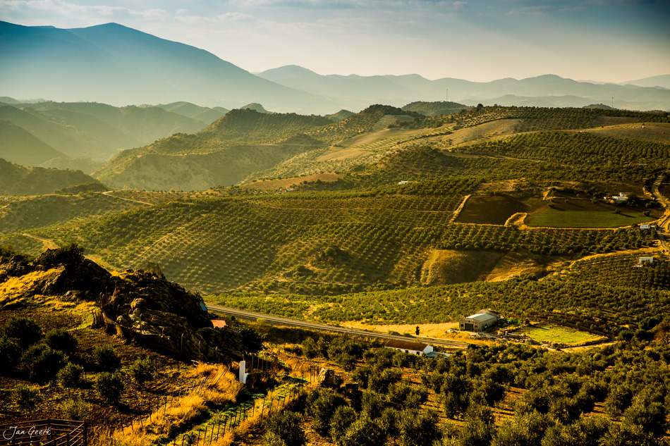 Olivenhaine und Berge bei Ronda in Andalusien, Spanien, goldenes Licht – Jan Geerk Fotograf Basel
