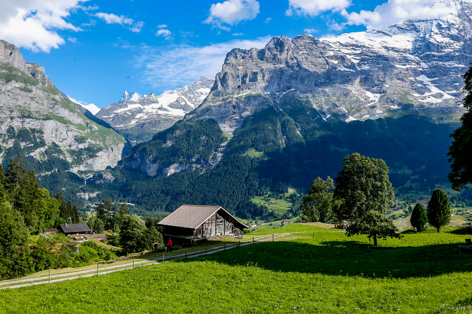 Bachalpsee mit Alpenscheune Sommerlandschaft Berner Oberland Schweiz Jan Geerk Fotograf Basel