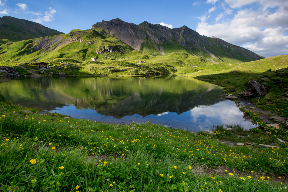 Bachalpsee mit Schreckhorn und Wetterhorn, alpine Berglandschaft im Sommer, Berner Oberland Schweiz – Jan Geerk Fotograf Basel