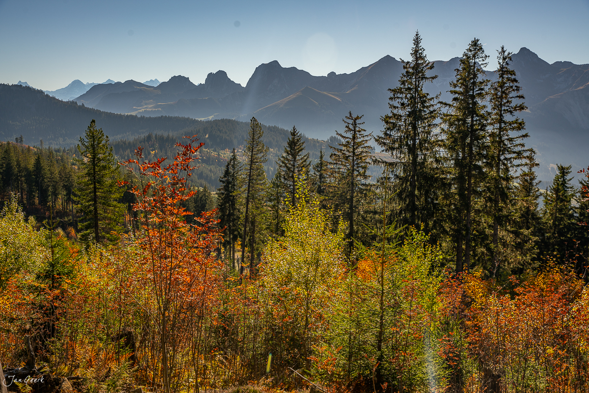 Herbstliche Berglandschaft mit buntem Laubwald am Gurnigel, Berner Oberland in der Schweiz – Jan Geerk Fotograf Basel