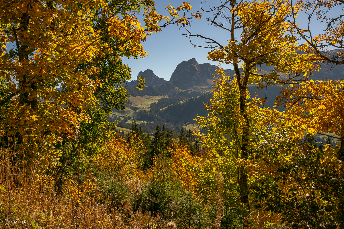 Herbstliche Laubwälder mit Blick auf Gurnigel Berg Berner Oberland Schweiz Jan Geerk Fotograf Basel