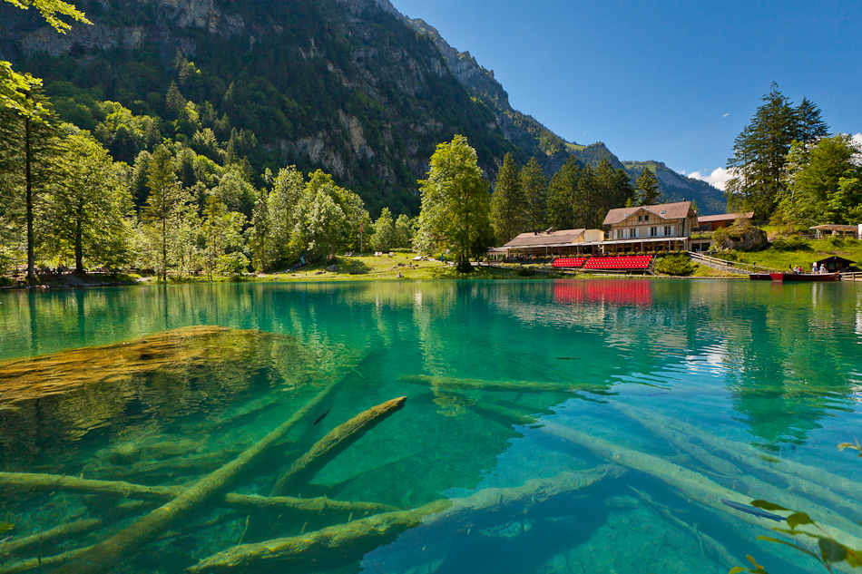 Blausee kristallklares Wasser Bergsee Blick versunkene Bäume Berner Oberland Schweiz Jan Geerk