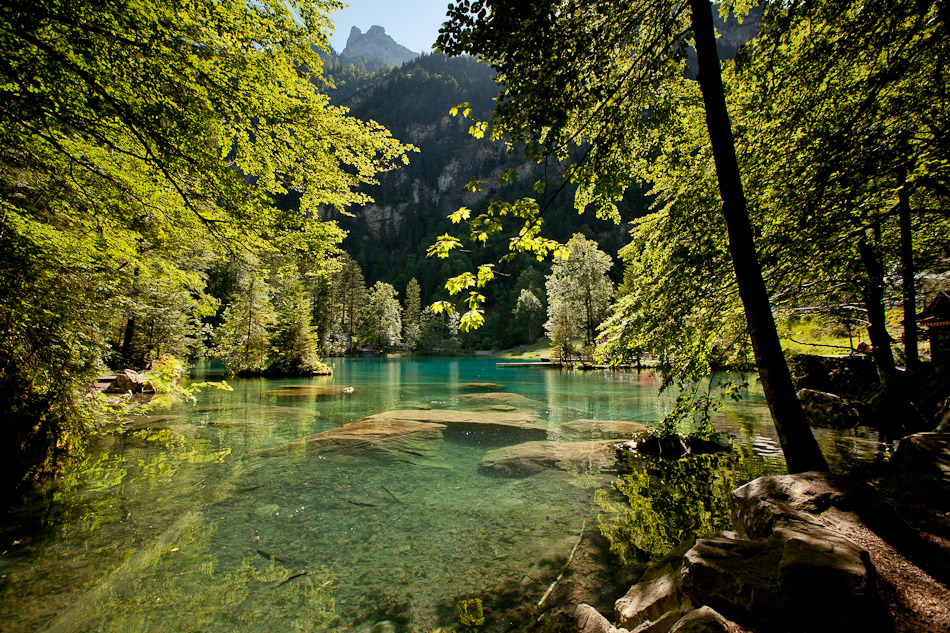 Blausee kristallklares Wasser Laubwald Berge Sommer Berner Oberland Schweiz Jan Geerk Fotograf Basel