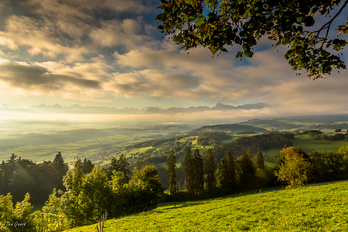 Alpenpanorama von der Buetschelegg Herbstmorgen Berner Oberland Schweiz Jan Geerk Fotograf Basel