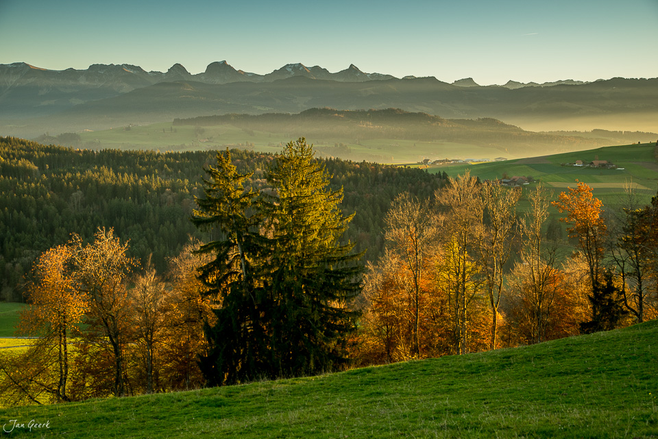 Herbstliche Berglandschaft mit Bäumen in Buetschelegg, Blick auf Eiger und Jungfrau im Berner Oberland Schweiz – Jan Geerk Fotograf Basel