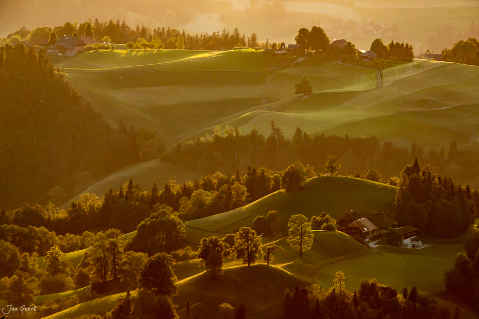 Grüne Hügellandschaft im Emmental mit Waldstreifen und Bauernhöfen bei Gegenlicht, Berner Oberland Schweiz – Jan Geerk Fotograf Basel