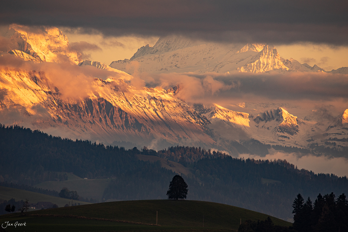 Einsamer Baum im Emmental mit verschneiten Alpen bei Herbstlicht – Schweiz Jan Geerk Fotograf Basel
