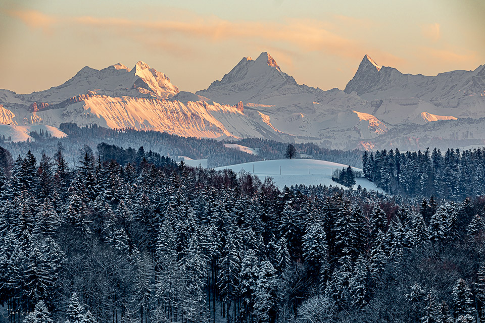 Schneebedeckte Wälder und Alpenpanorama mit Eiger, Mönch und Jungfrau bei Ferrenberg im Emmental, Berner Oberland Schweiz – Jan Geerk Fotograf Basel