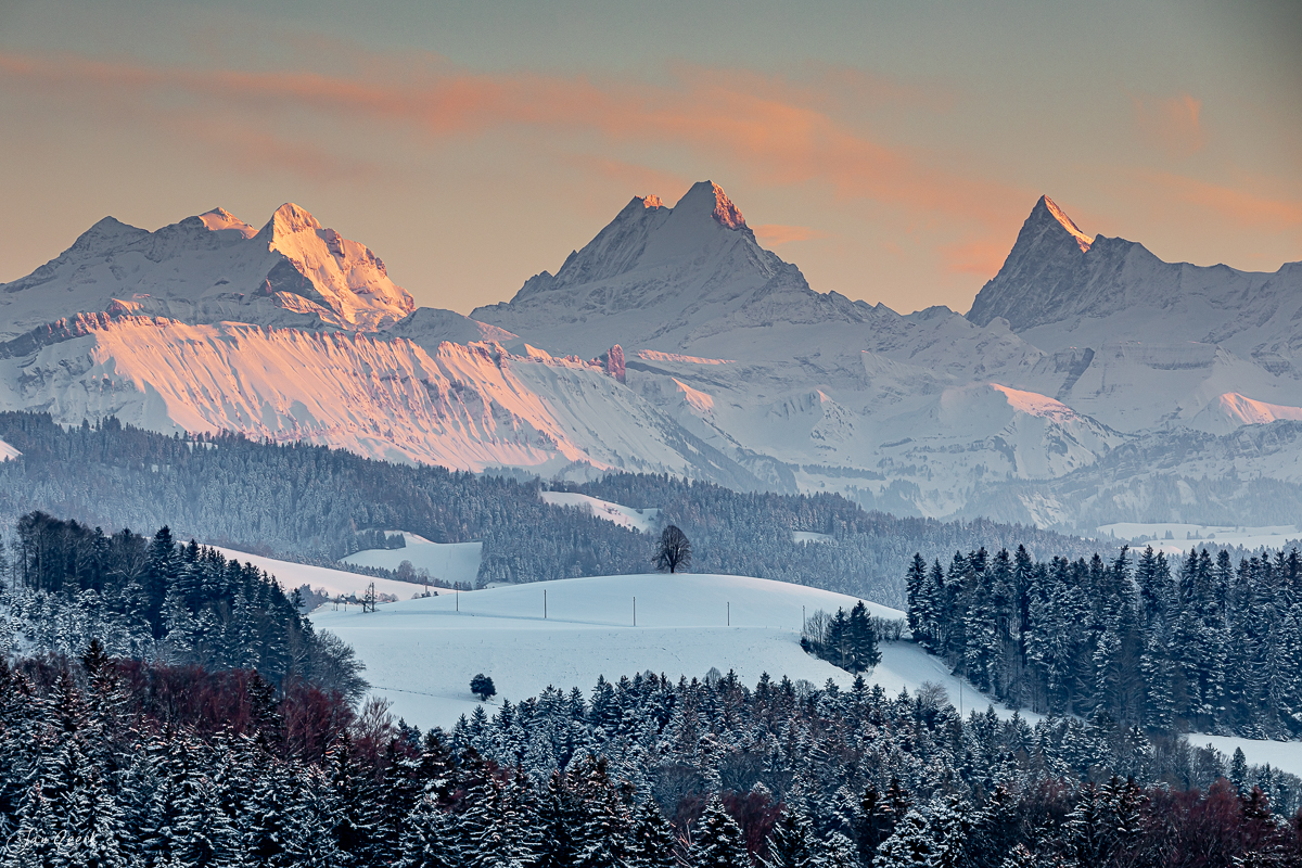 Alpensicht vom Ferrenberg mit schneebedeckten Bergen Eiger Mönch Jungfrau Winterstimmung Berner Oberland Schweiz Jan Geerk Fotograf Basel