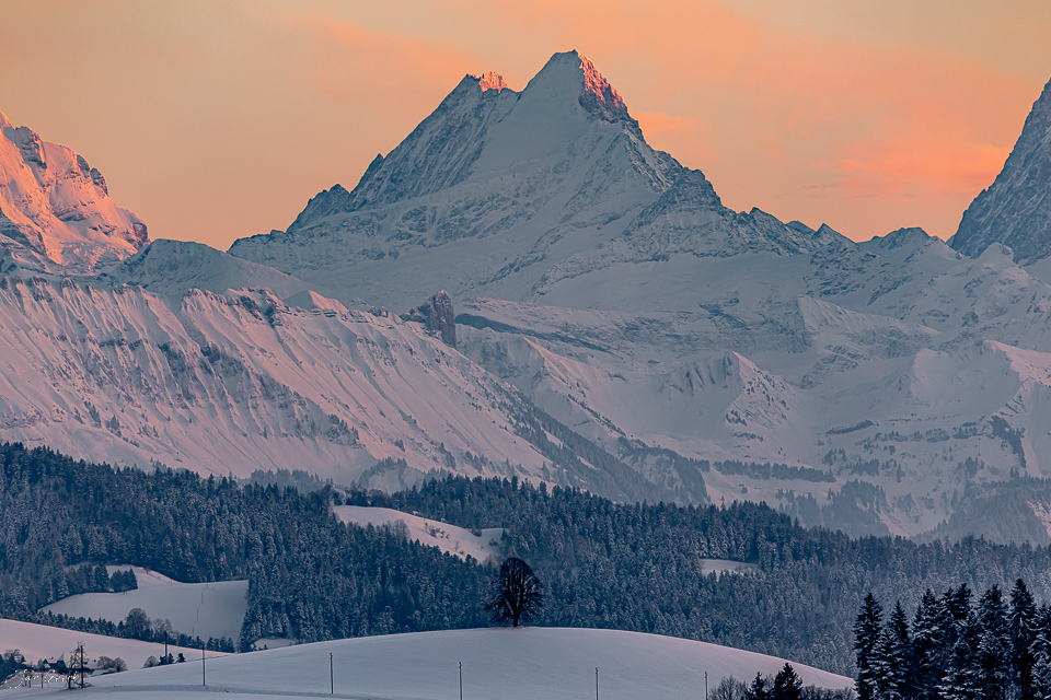 Schneebedeckte Alpengipfel über Ferrenberg im Emmental bei Sonnenaufgang, Berner Oberland Schweiz – Jan Geerk Fotograf Basel