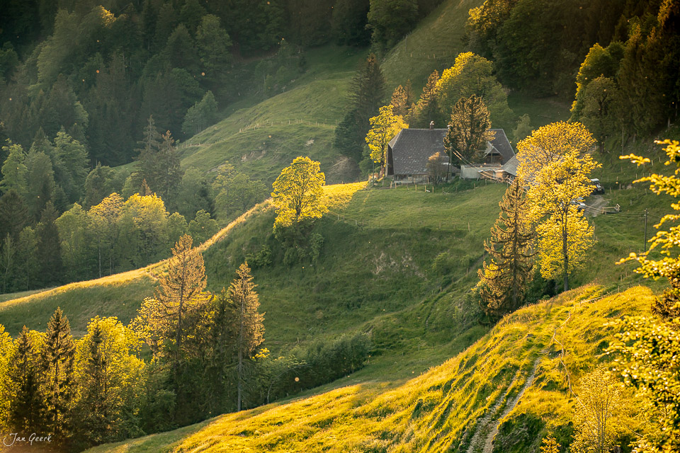 Bergweiler Hinterarni im goldenen Herbstlicht, Emmental Berner Oberland Schweiz – Jan Geerk Fotograf Basel