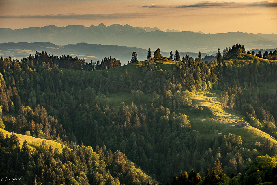 Blick auf Hinterarni mit Wäldern und Bergen im goldenen Licht, Berner Oberland Schweiz – Jan Geerk Fotograf Basel
