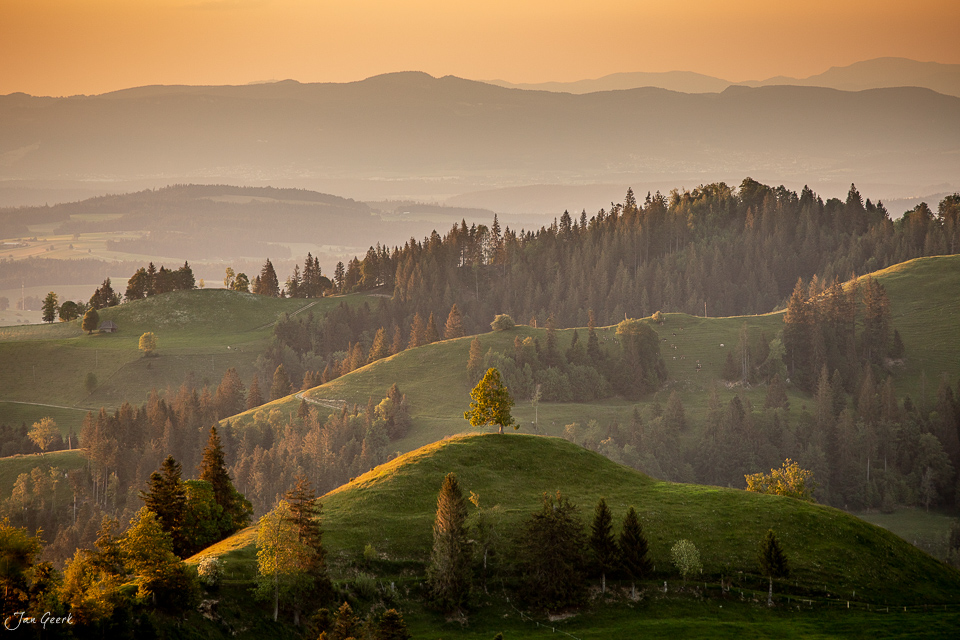 Herbstliche Hügellandschaft Hinterarni mit goldenen Wiesen und Wäldern im Emmental Berner Oberland Schweiz – Jan Geerk Fotograf Basel
