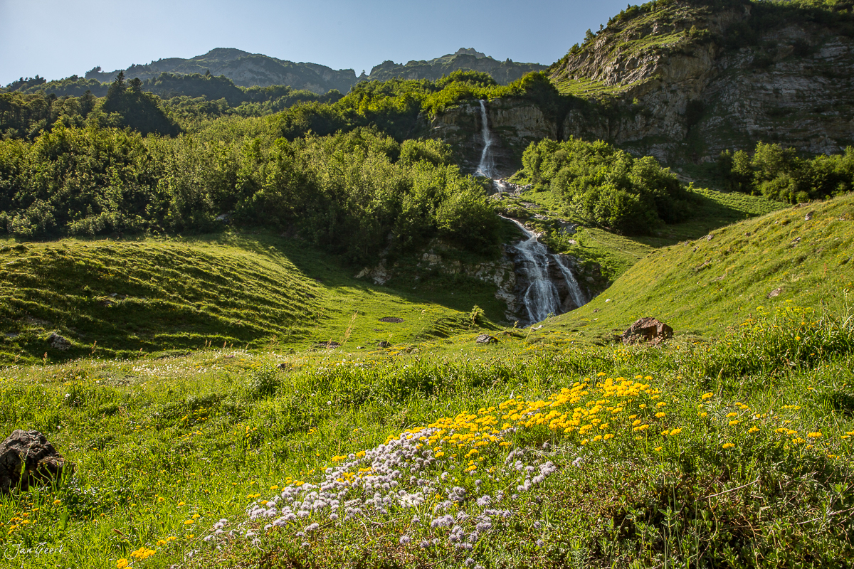 Alpwiese mit Wildblumen und Wasserfall in der Engstlenalp, Berner Oberland, Sommerlich, Schweiz – Jan Geerk Fotograf Basel