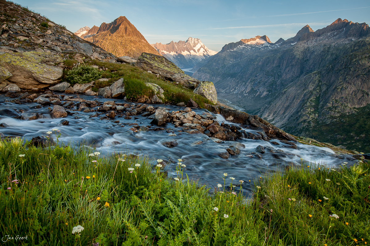 Alpiner Bach im Grimselpass mit blühenden Wildblumen, schneebedeckten Berggipfeln in goldener Sommersonne, Berner Oberland Schweiz – Jan Geerk Fotograf Basel