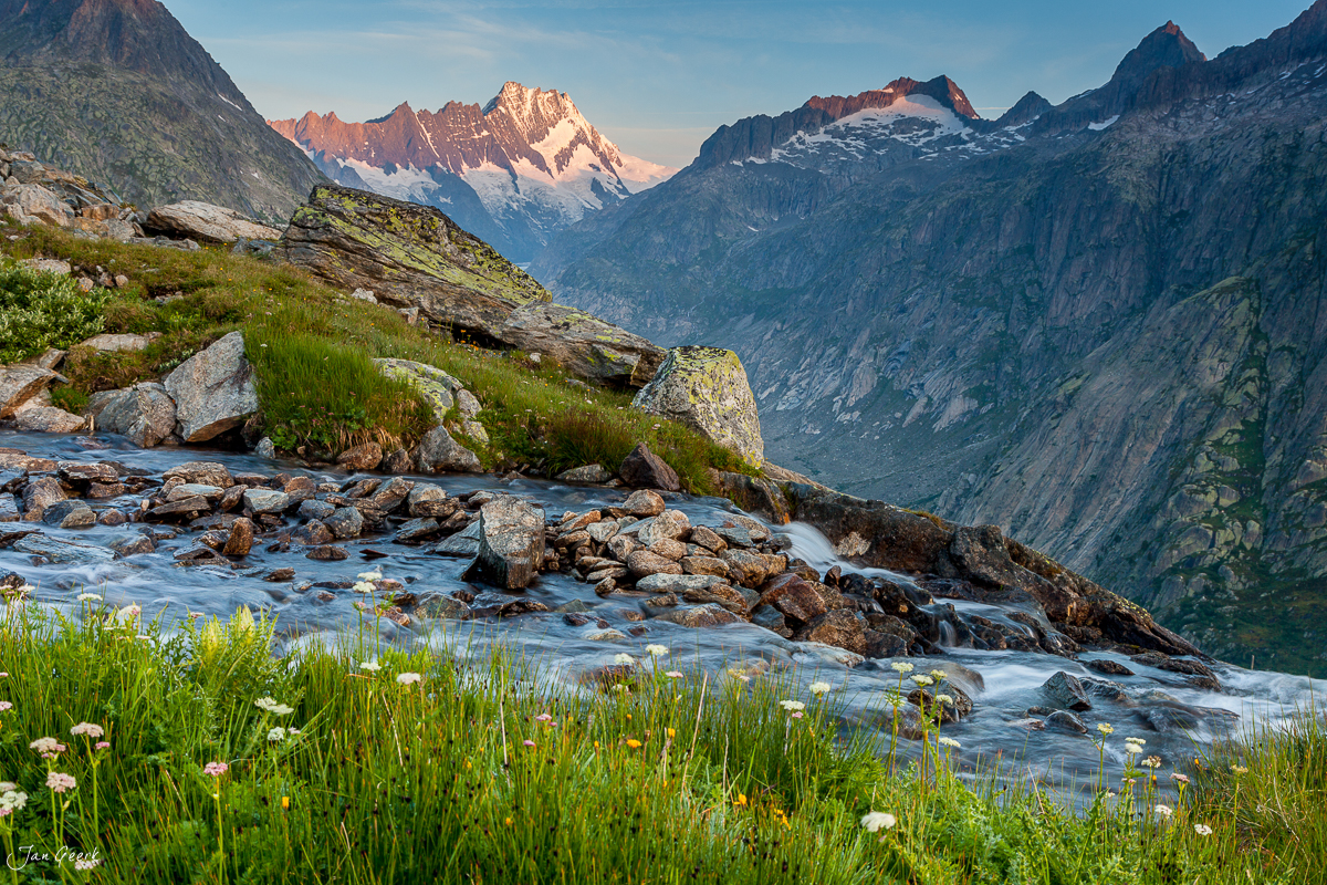 Bergbach mit Blütenwiese, schneebedeckte Gipfel im Hintergrund, Grimsel Hochalpenlandschaft, Berner Oberland, Schweiz – Jan Geerk Fotograf Basel