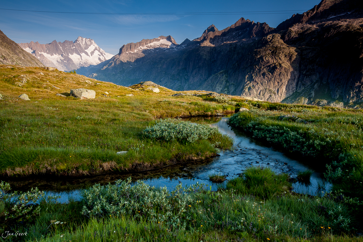 Bergbach in alpiner Wiese am Grimselpass mit schneebedeckten Gipfeln, Sommer, Berner Oberland Schweiz – Jan Geerk Fotograf Basel