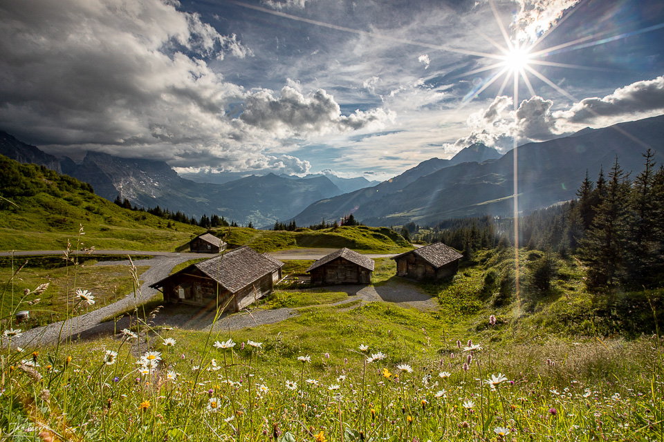 Alpenhütten und Bergsee an der Grosse Scheidegg mit Bergblick bei Sonnenschein im Sommer, Berner Oberland Schweiz – Jan Geerk Fotograf Basel