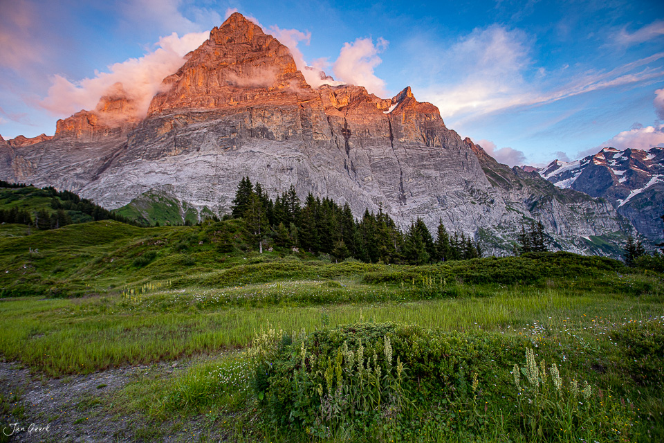 Alpenmeer mit Wetterhorn bei Grosse-Scheidegg, Alpenglow-Stimmung, Berner Oberland Schweiz – Jan Geerk Fotograf Basel