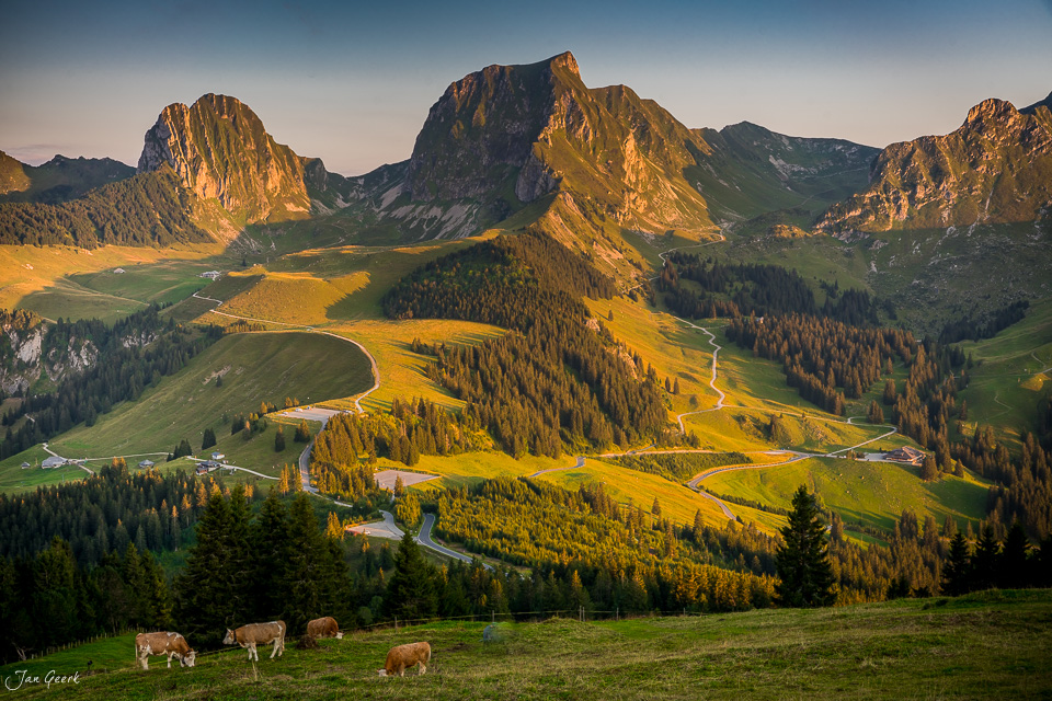 Alplandschaft mit Kühen am Gurnigel bei Herbstlicht, Berner Oberland Schweiz – Jan Geerk Fotograf Basel
