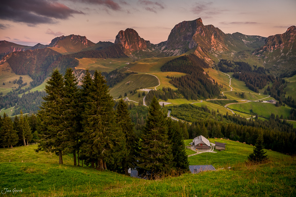 Alpweide mit Alphütte am Gurnigel, grüne Berglandschaft mit Fichten, goldenes Abendlicht, Berner Oberland Schweiz – Jan Geerk Fotograf Basel