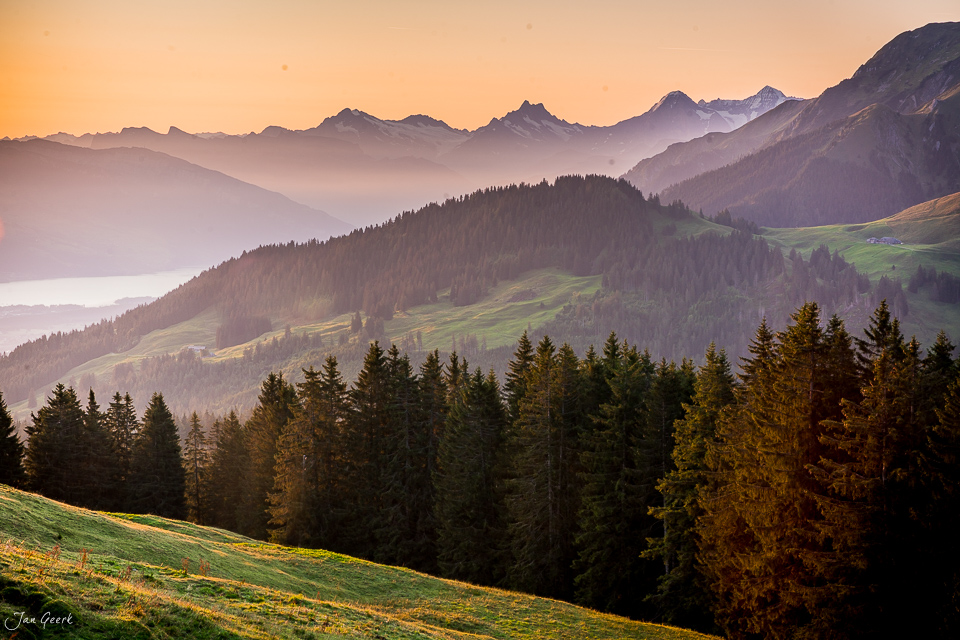 Alpenpanorama mit Lärchenwäldern am Gurnigel bei Sonnenaufgang im Herbst, Berner Oberland Schweiz – Jan Geerk Fotograf Basel