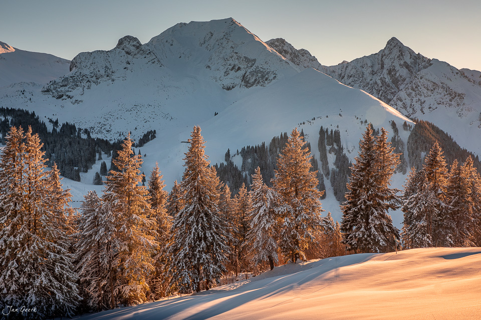 Schneebedeckte Lärchen und Berggipfel bei Gurnigel in goldenem Winterlicht, Berner Oberland Schweiz – Jan Geerk Fotograf Basel