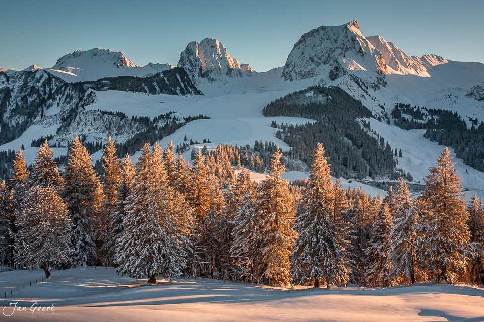 Schneebedeckte Lärchen bei Gurnigel mit verschneiten Bergen im Hintergrund, Morgenlicht im Berner Oberland Schweiz – Jan Geerk Fotograf Basel