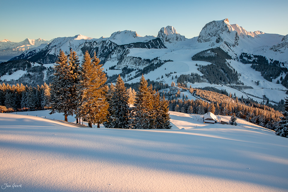 Verschneite Alplandschaft mit goldenen Lärchen am Gurnigel, Berner Oberland, Wintermorgen, Schweiz – Jan Geerk Fotograf Basel