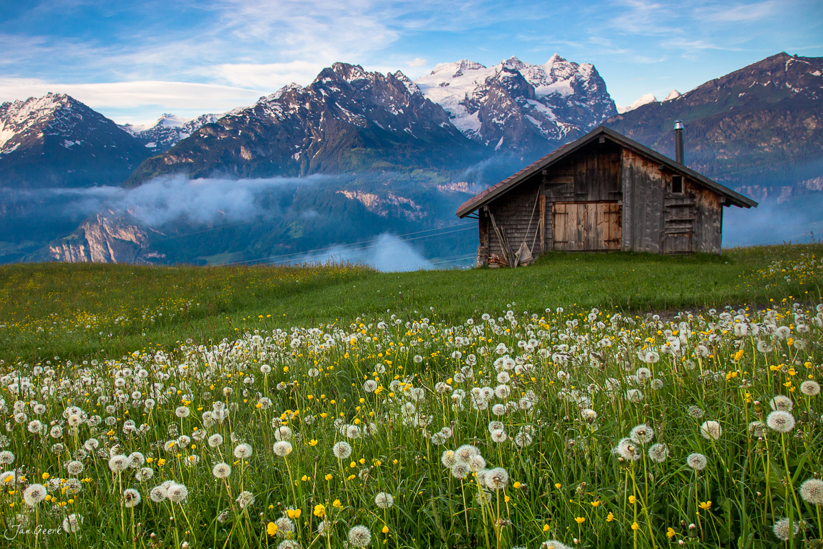 Berghütte Hasliberg Alpenwiese Frühling Berner Oberland Schweiz Jan Geerk Fotograf Basel