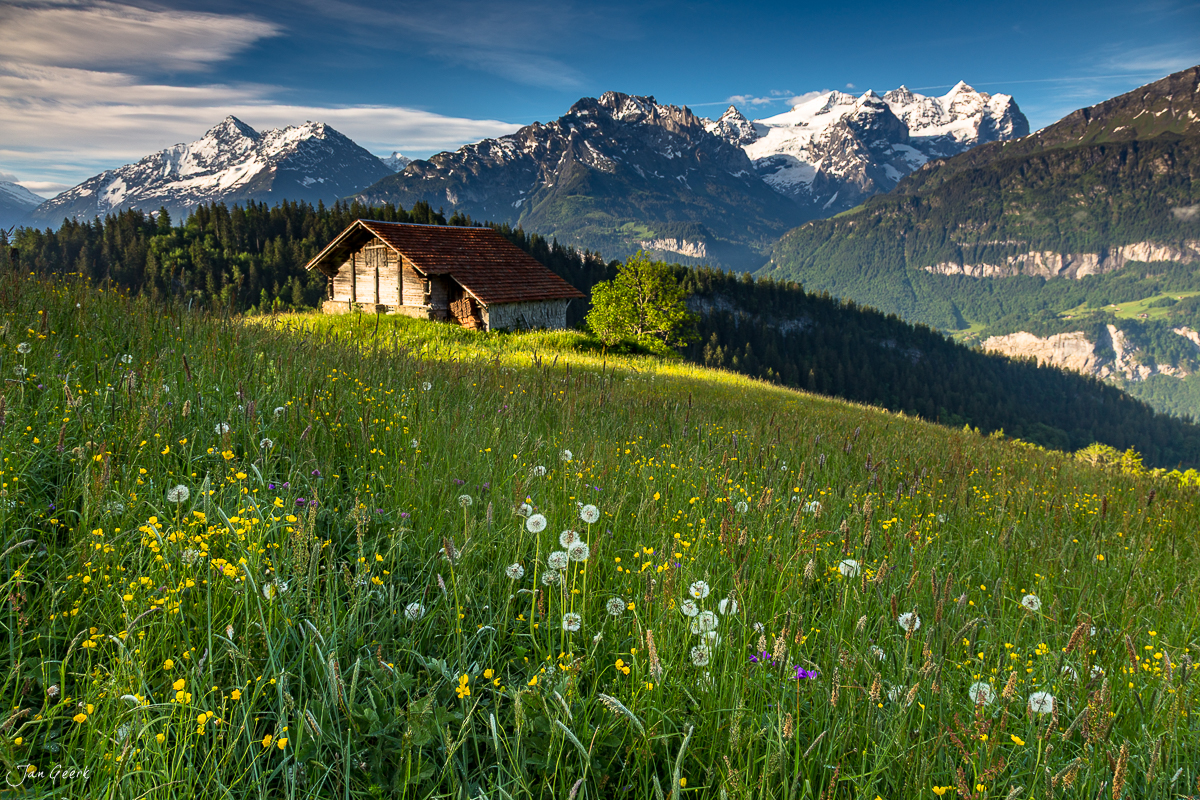 Berghaus Hasliberg Wellhorn Wetterhorn Frühjahrsblüte Alpenmulde Berner Oberland Schweiz Jan Geerk Fotograf Basel