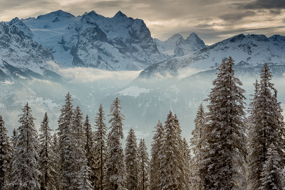 Schneebedeckte Fichten und Alpengipfel über Hasliberg im Berneroberland, Winterlandschaft Schweiz – Jan Geerk Fotograf Basel
