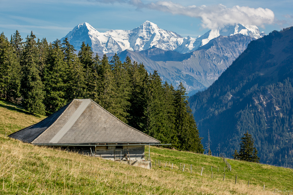 Alpenhütte Heiti mit Blick auf Eiger, Jungfrau und Mönch, Sommer Berner Oberland Schweiz – Jan Geerk Fotograf Basel