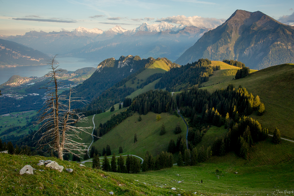 Alpenmassiv mit Eiger, Jungfrau und Mönch über dem Thunersee, grüne Berglandschaft im Berner Oberland Schweiz – Jan Geerk Fotograf Basel