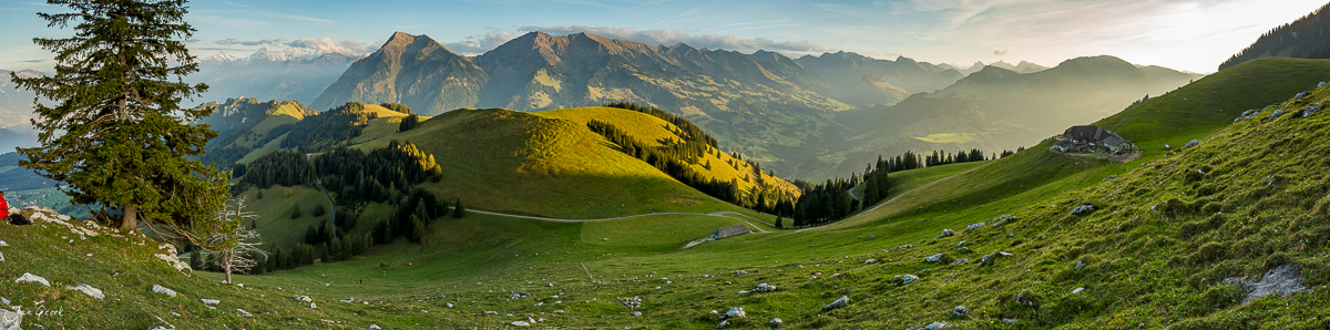 Alpenpanorama mit grünen Wiesen, Wald und schneebedeckten Berggipfeln im Berner Oberland Schweiz – Jan Geerk Fotograf Basel