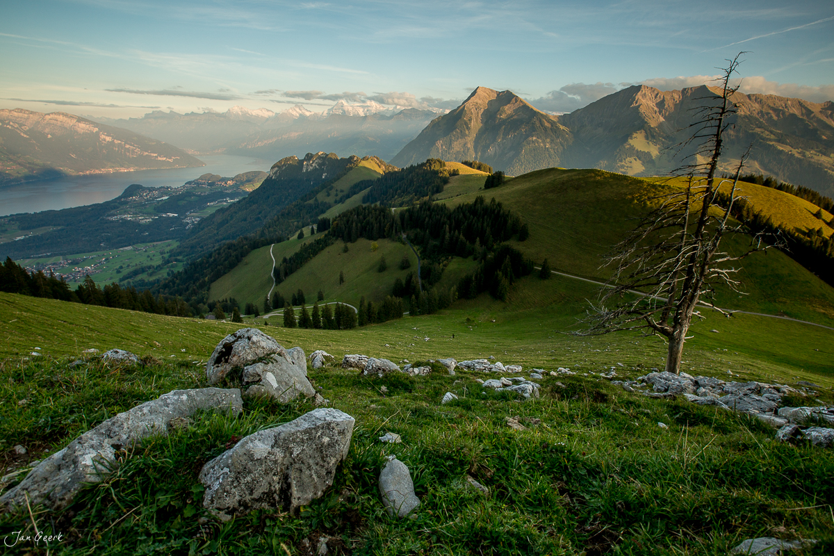 Alpenpanorama mit Thunersee, grüne Wiesen und ferne Berggipfel bei goldenem Abendlicht im Berner Oberland Schweiz – Jan Geerk Fotograf Basel