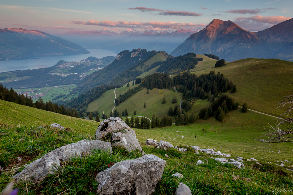 Alpweiden mit Felsblöcken, Blick auf Thunersee und Eiger im Berner Oberland, Schweiz – Jan Geerk Fotograf Basel