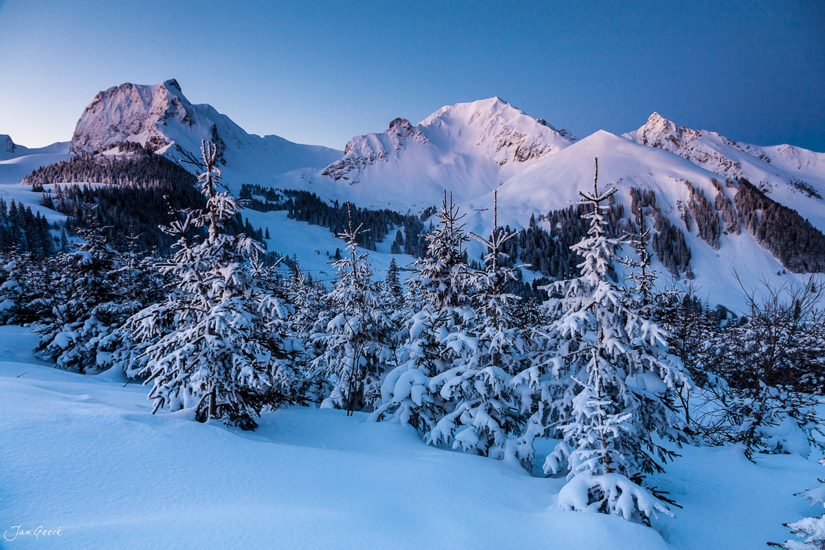 Schneebedeckte Fichten Gurnigel Gantrisch Winterlandschaft Berner Oberland Schweiz Jan Geerk Fotograf Basel