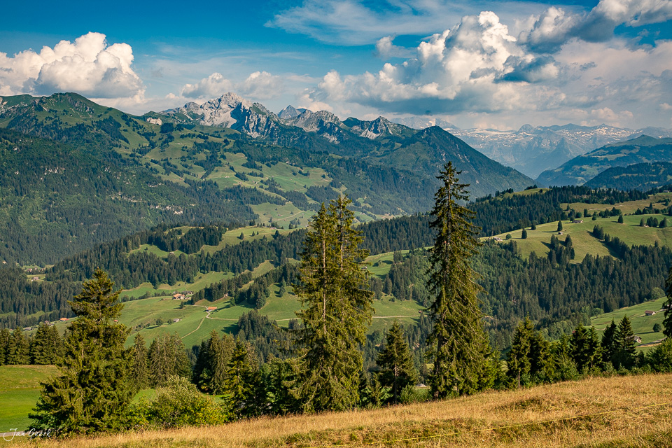 Alpines Bergpanorama vom Jaunpass mit grünen Weiden, Fichten und Gastlosen im Berner Oberland Schweiz – Jan Geerk Fotograf Basel