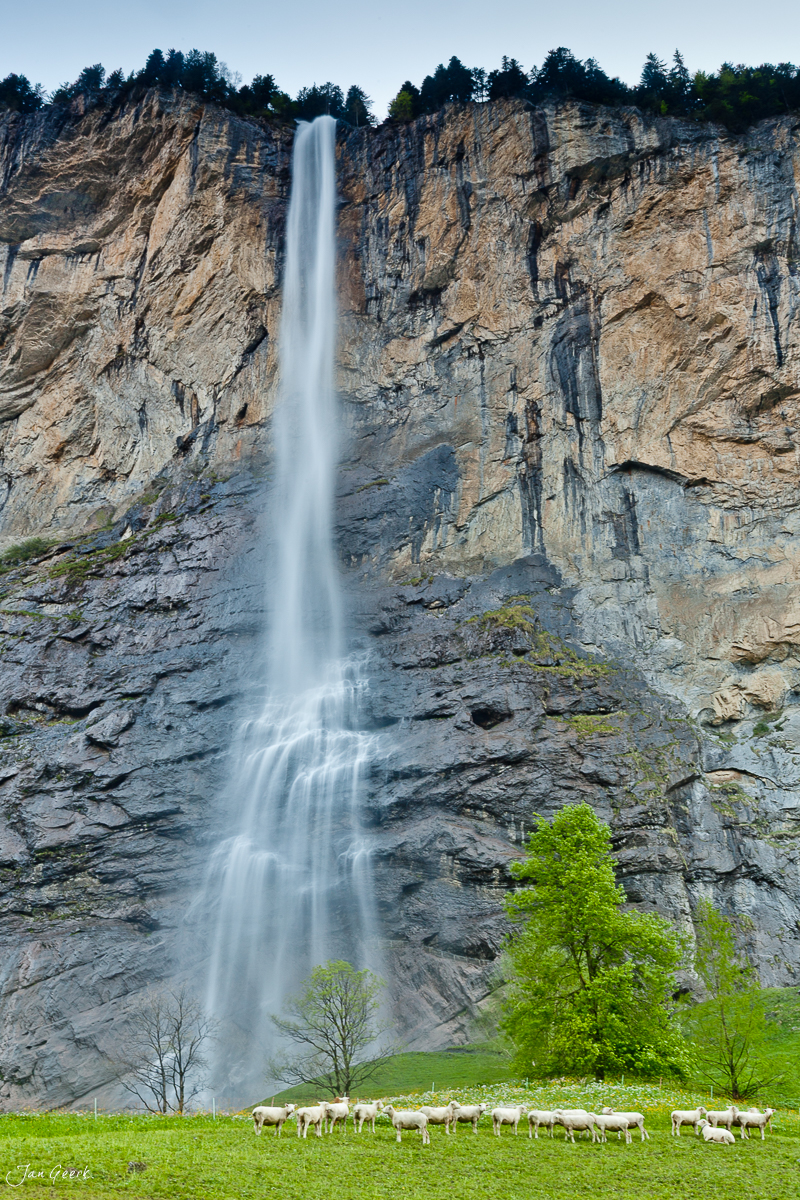 Staubbachfall Lauterbrunnen Wasserfall Schafherde Frühling Berner Oberland Schweiz – Jan Geerk Fotograf Basel