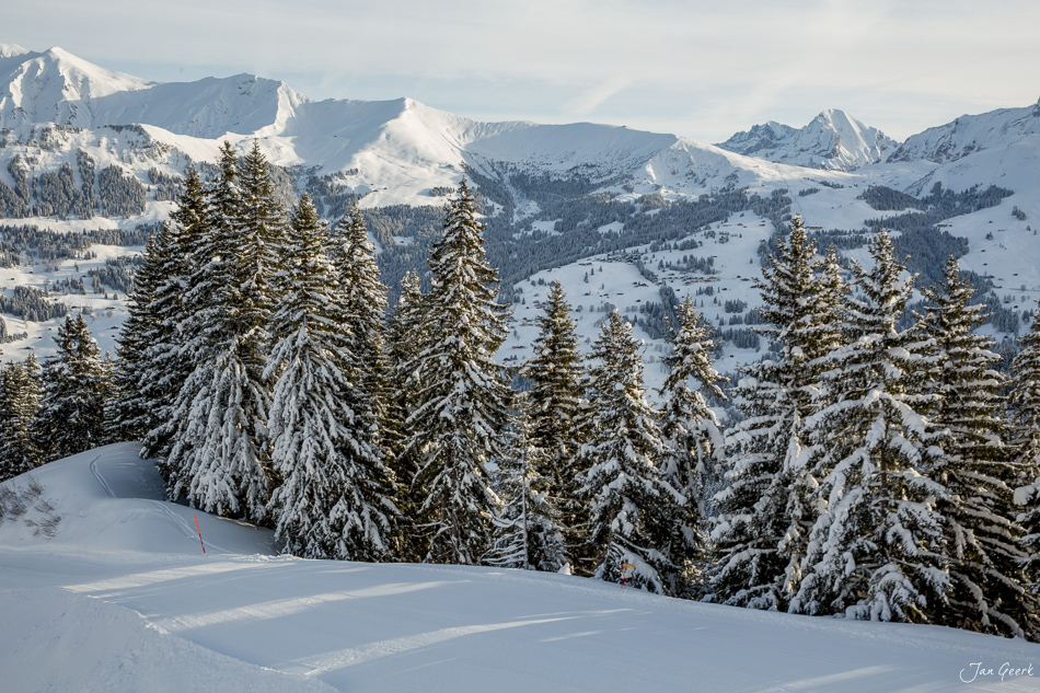 Verschneite Fichtenwälder und Bergpanorama bei Lenk im Berner Oberland, Schweiz – Jan Geerk Fotograf Basel