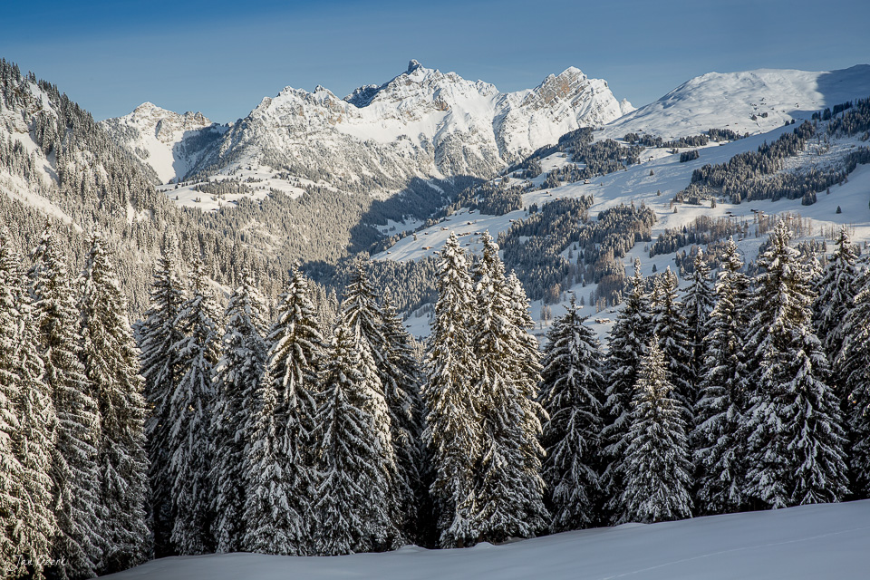 Verschneite Fichtenwälder und Berggipfel in Lenk im Berner Oberland Schweiz, Jan Geerk Fotograf Basel