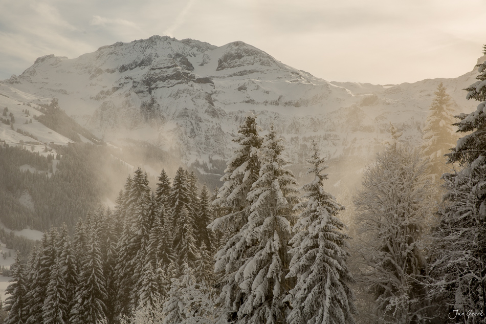 Verschneite Berglandschaft bei Lenk mit schneebedeckten Fichten und Wildstrubel im Hintergrund, Wintersonne durchbricht Nebel, Berner Oberland Schweiz – Jan Geerk Fotograf Basel
