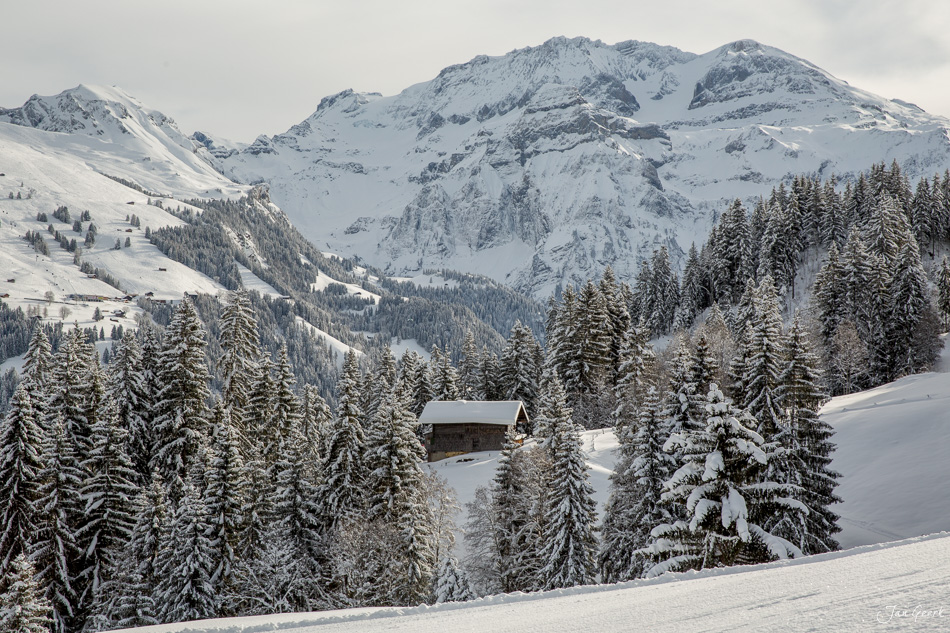 Verschneite Berghütte in Lenk umgeben von schneebedeckten Fichten und Bergpanorama im Winter – Berner Oberland Schweiz Jan Geerk Fotograf Basel