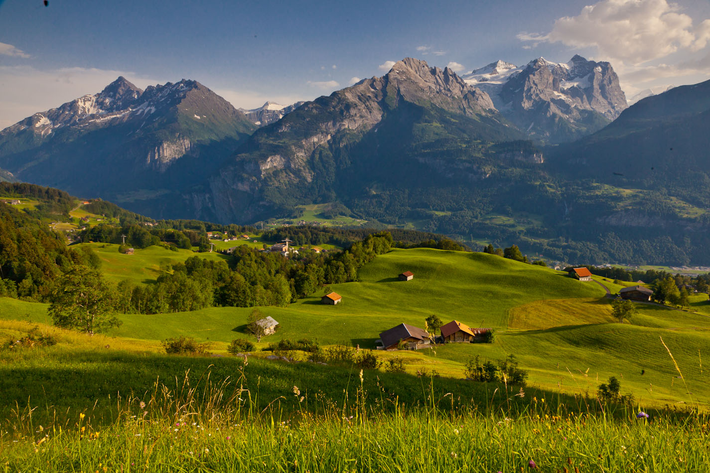 Alpweide Hasliberg Rosenlaui Sommerlandschaft Engelhörner Wellhorn Wetterhorn Berner Oberland Schweiz – Jan Geerk Fotograf Basel