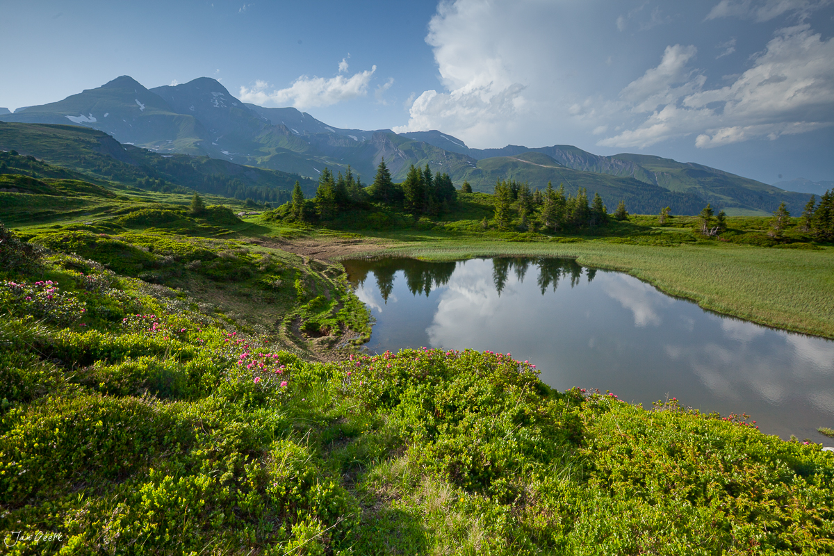 Alpenlandschaft Rosenlaui Meiringen mit Bergsee Engelhörner Wellhorn Sommer Berner Oberland Schweiz