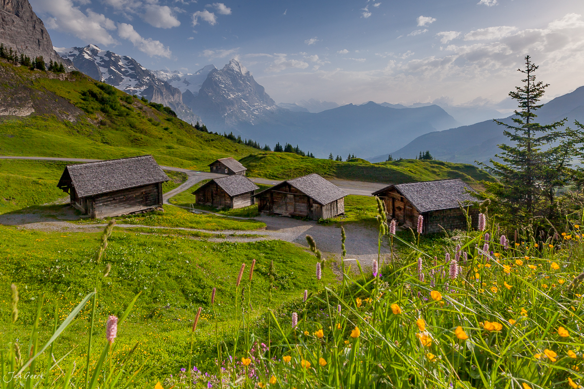 Alpsenalpen Hütten Rosenlaui Meiringen Sommerlandschaft Berner Oberland Schweiz Jan Geerk Fotograf Basel
