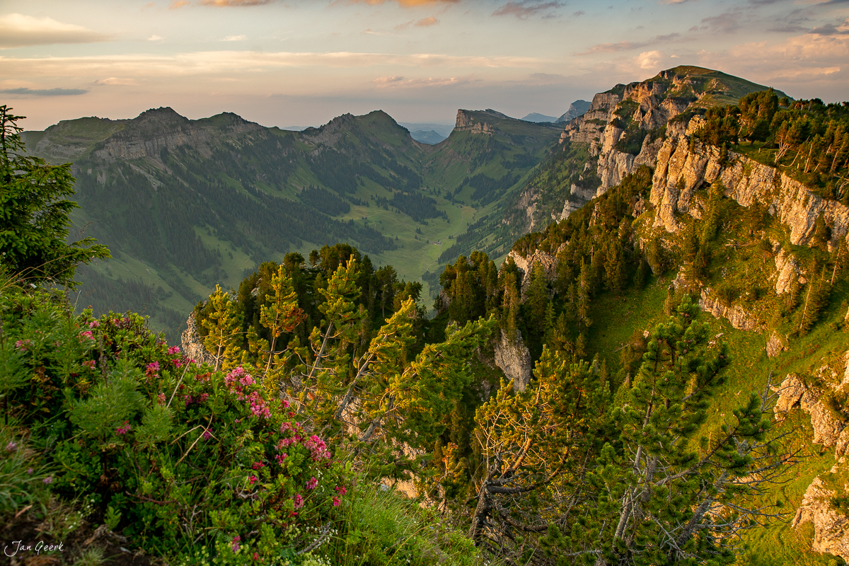 Blick ins Justistal vom Niederhorn mit Alpenketten im Sommerlicht, Berner Oberland Schweiz – Jan Geerk Fotograf Basel