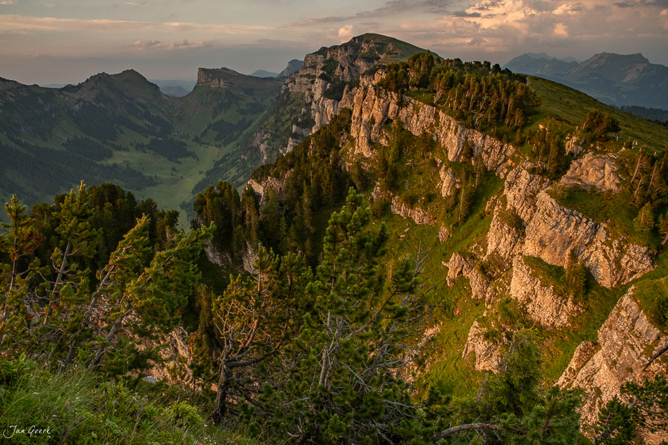 Felsige Berglandschaft mit Nadelwald am Niederhorn bei Sommerlichtstimmung, Berner Oberland Schweiz – Jan Geerk Fotograf Basel